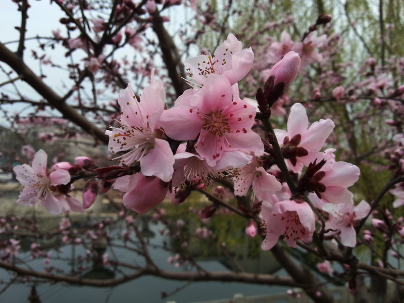 20150326_174628.jpg