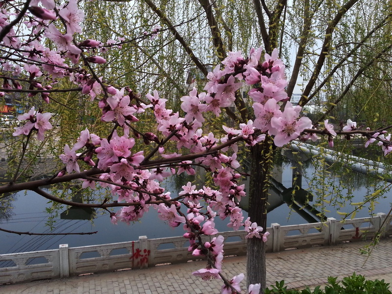 20150326_174653.jpg