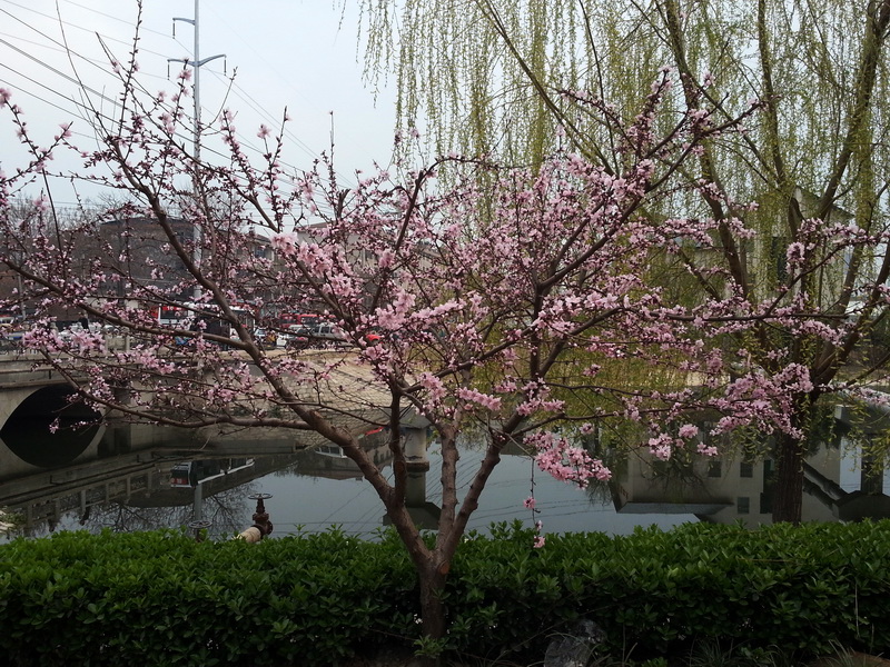 20150326_174718.jpg