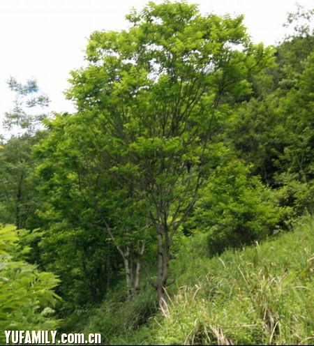 ΢ͼƬ_20180705111221.jpg