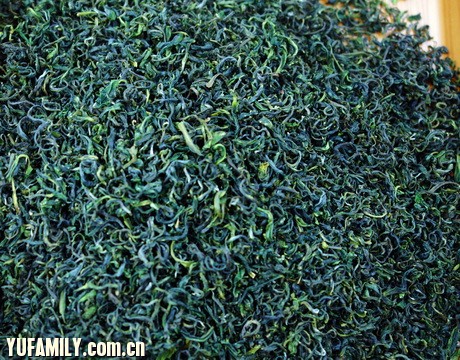 Nipic_5352726_20120811111253746139.jpg