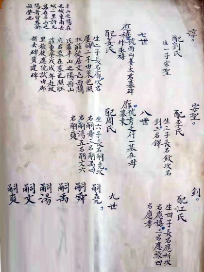 10.jpg